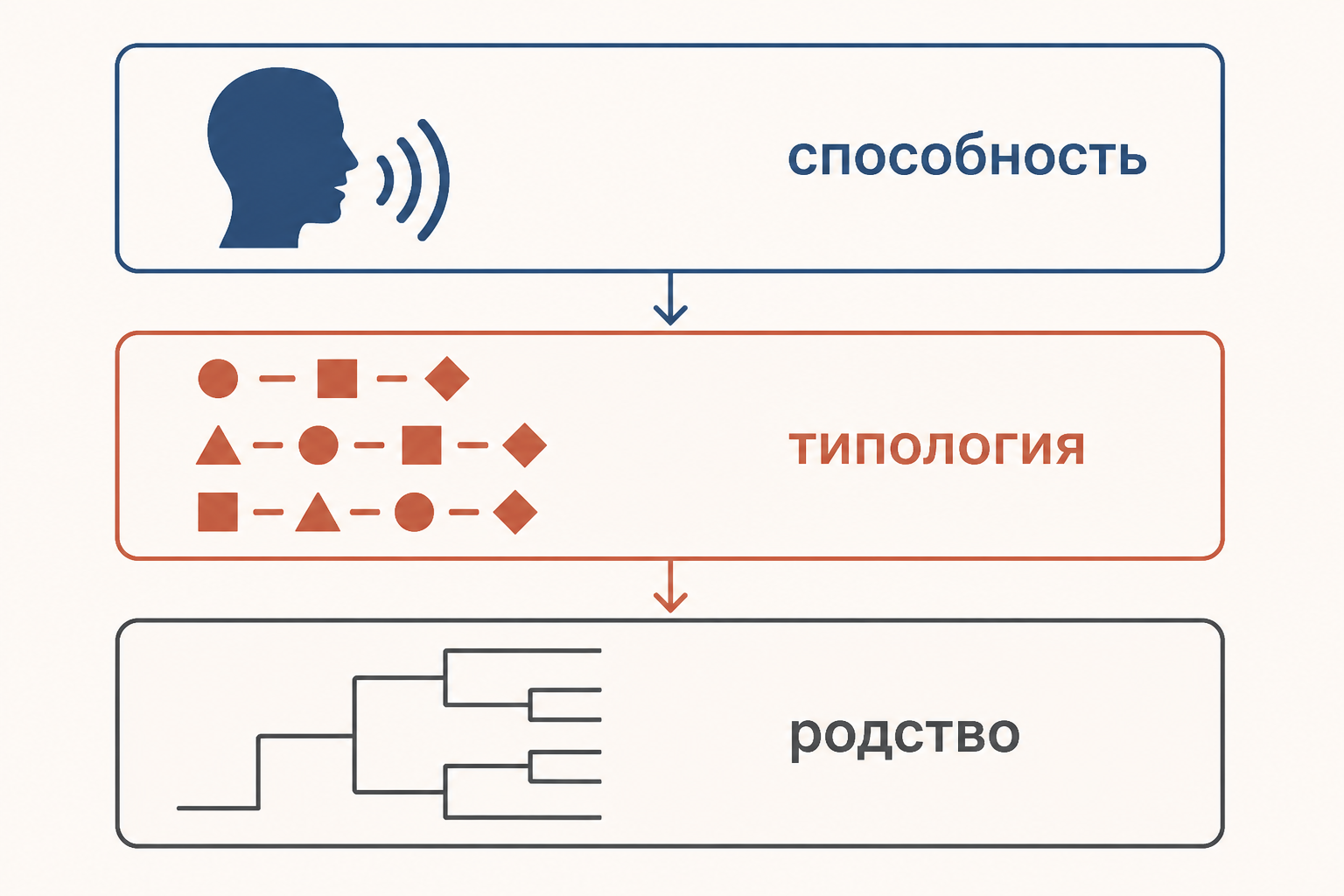 Схема аргументов о происхождении языков: общая способность, типологическое сходство и генеалогическое родство разделены по разным уровням доказательства