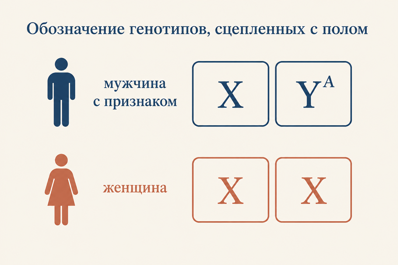 Запись генотипов мужчины и женщины при Y-сцеплении