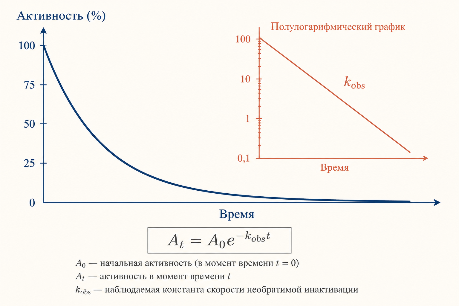 Кинетика необратимого ингибирования: зависимость активности от времени