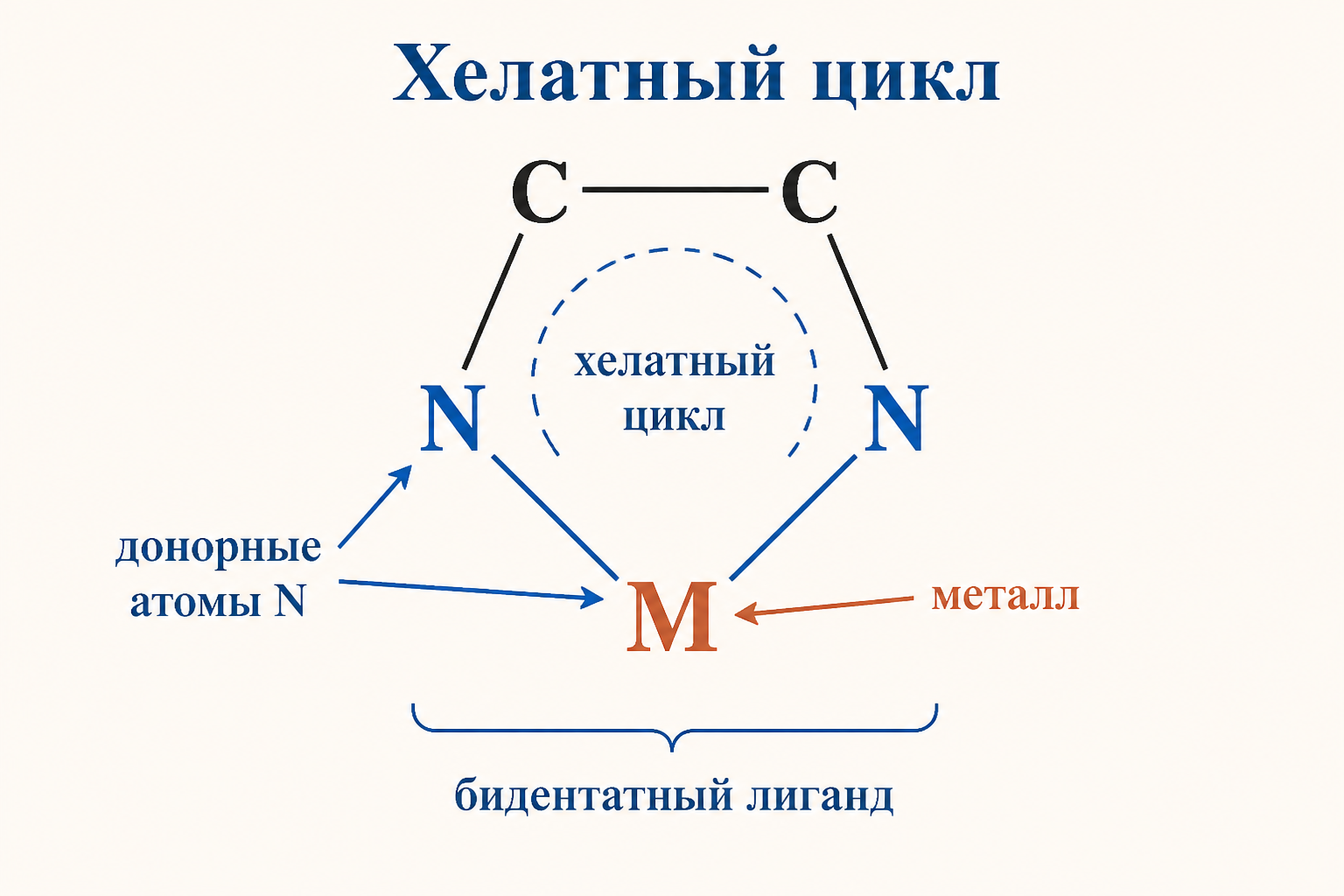 Схема хелатного цикла: бидентатный лиганд замыкает пятичленное кольцо