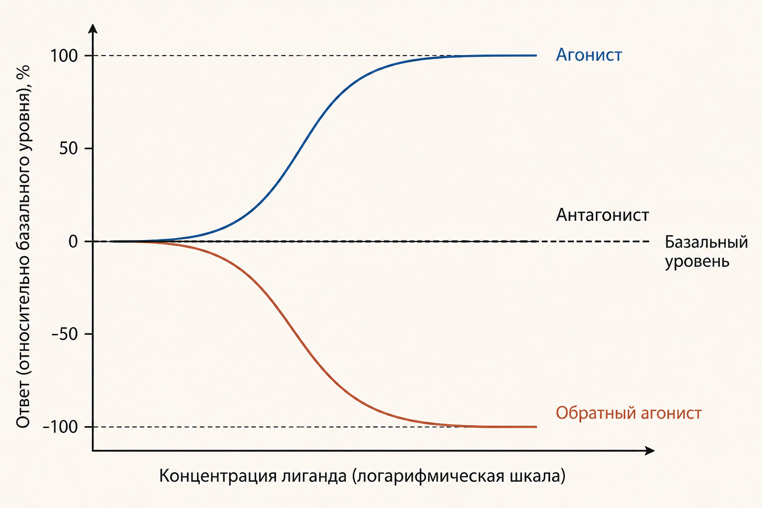 Сравнение эффектов агониста, антагониста и обратного агониста на кривой доза-эффект