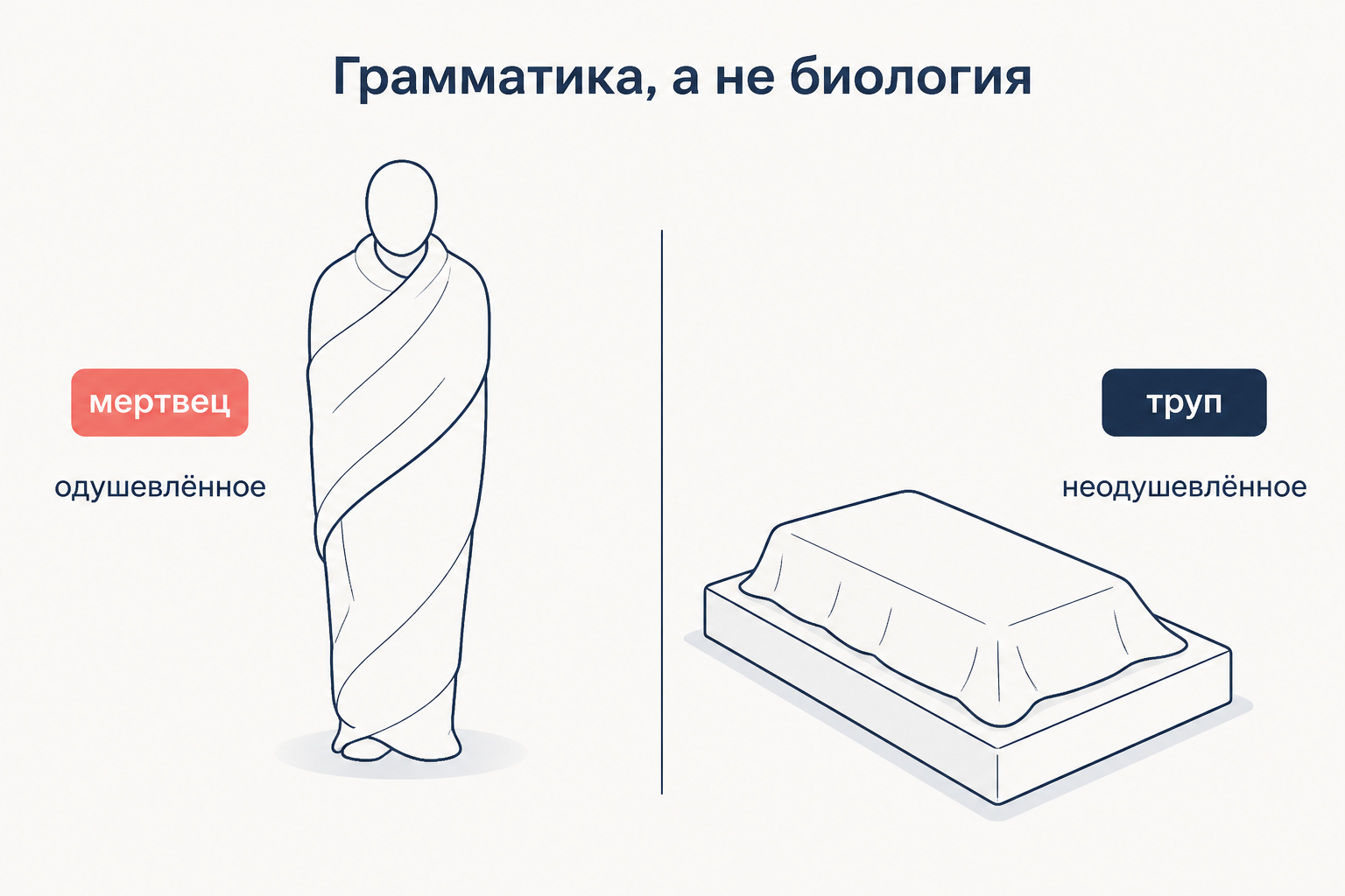 Два символических изображения: слово мертвец помечено как одушевлённое, слово труп как неодушевлённое