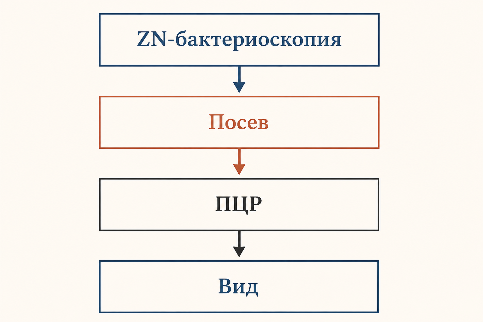 Диагностический алгоритм при выявлении кислотоустойчивых палочек: от ZN к видовой идентификации