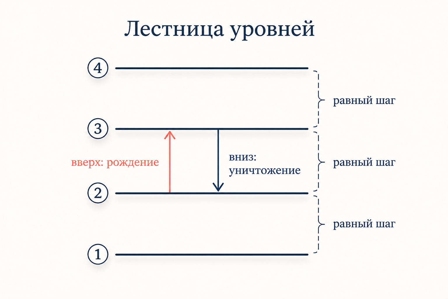 Образ лестницы энергетических уровней гармонического осциллятора: равноотстоящие ступени, стрелка вверх с подписью оператора рождения и стрелка вниз с подписью оператора уничтожения