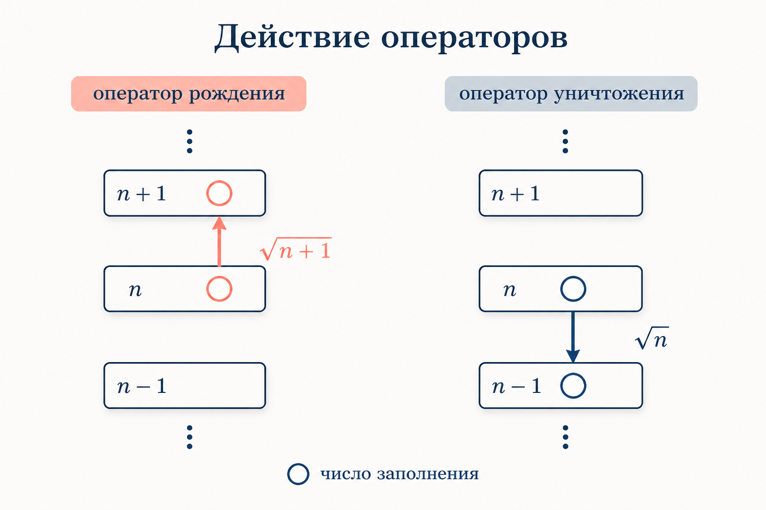 Сопоставление действия двух операторов на состояние с числом заполнения: оператор рождения переводит состояние n в n плюс один с коэффициентом корень из n плюс один, оператор уничтожения переводит n в n минус один с коэффициентом корень из n