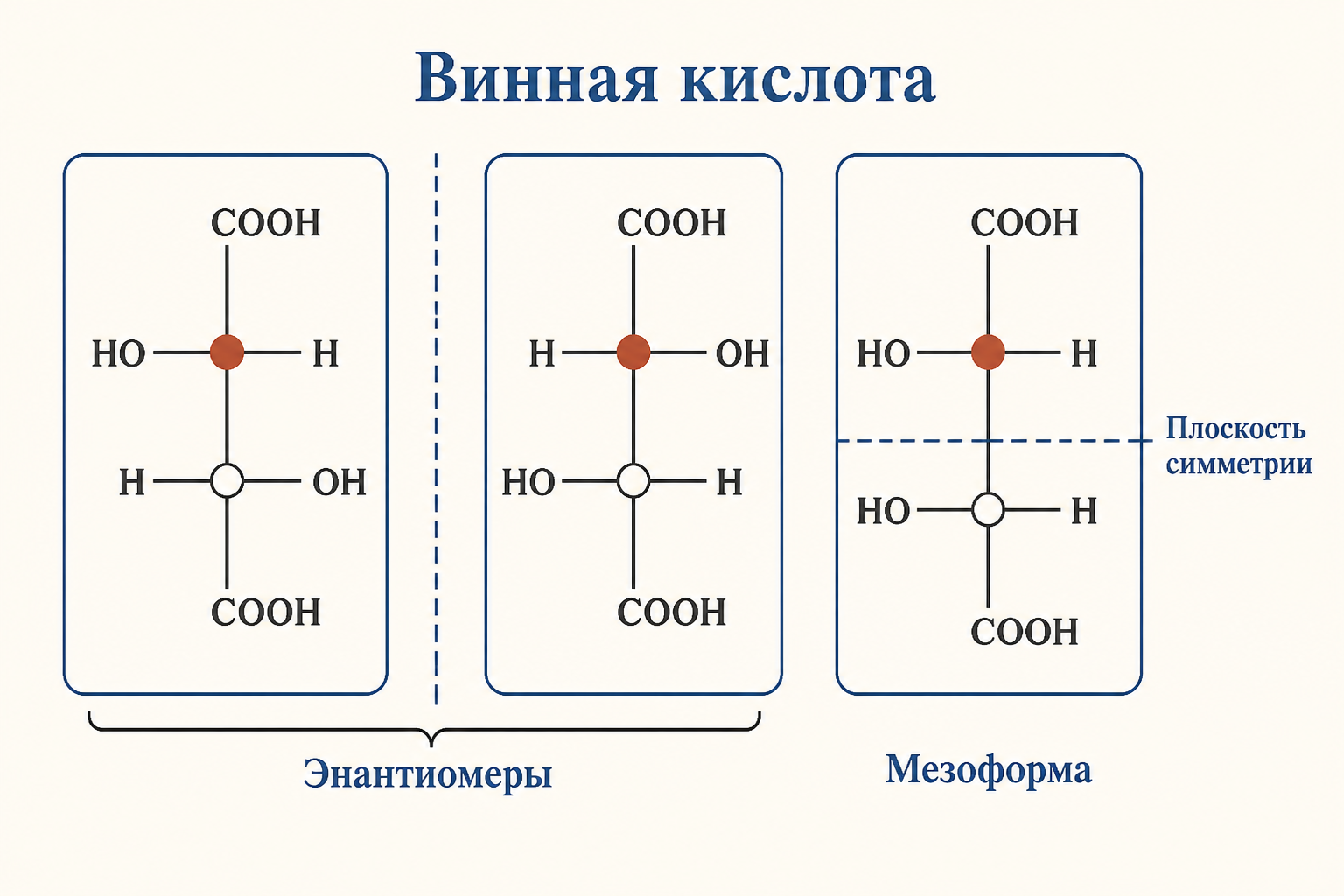 Три формы винной кислоты: два энантиомера как зеркальные отражения и мезоформа с внутренней плоскостью симметрии