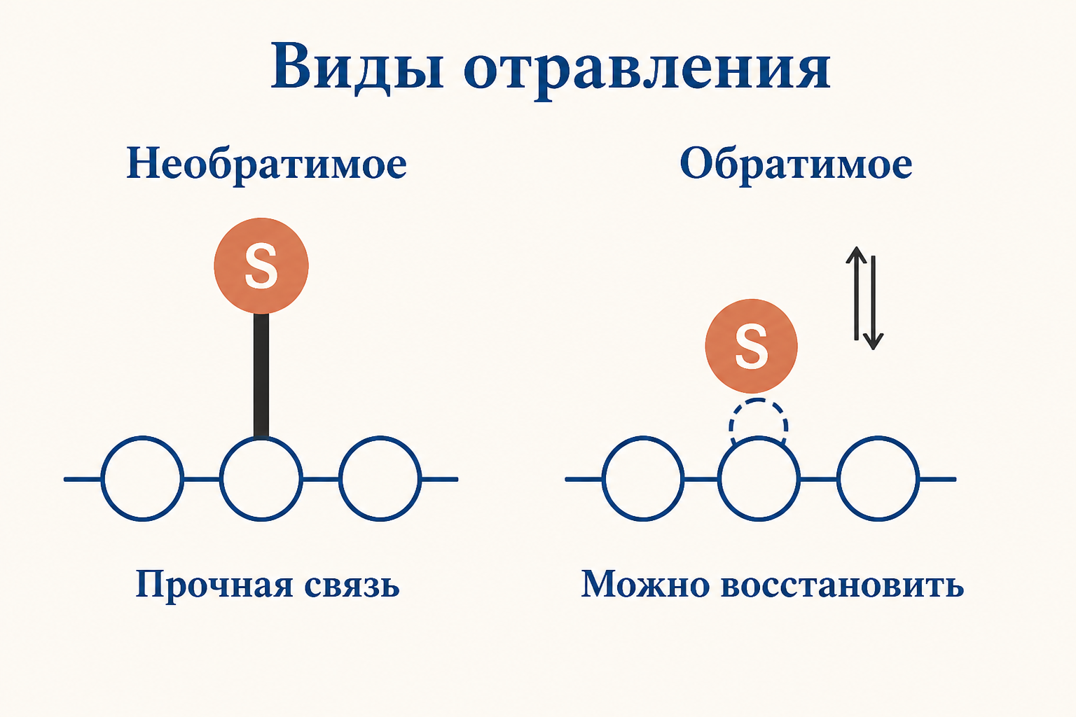 Сравнение обратимого и необратимого отравления катализатора серой: прочная связь металл-сера против слабо удерживаемого атома, который можно удалить