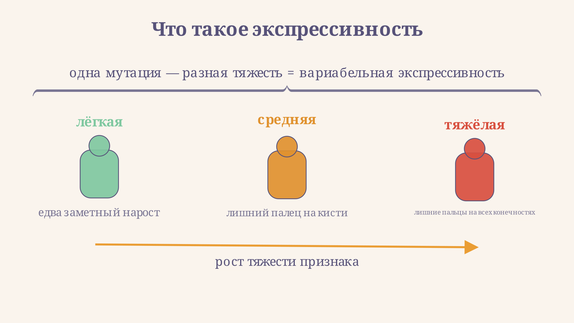 Один и тот же ген с одинаковой мутацией даёт у разных носителей разную тяжесть признака: от едва заметной формы до выраженной, это и есть вариабельная экспрессивность
