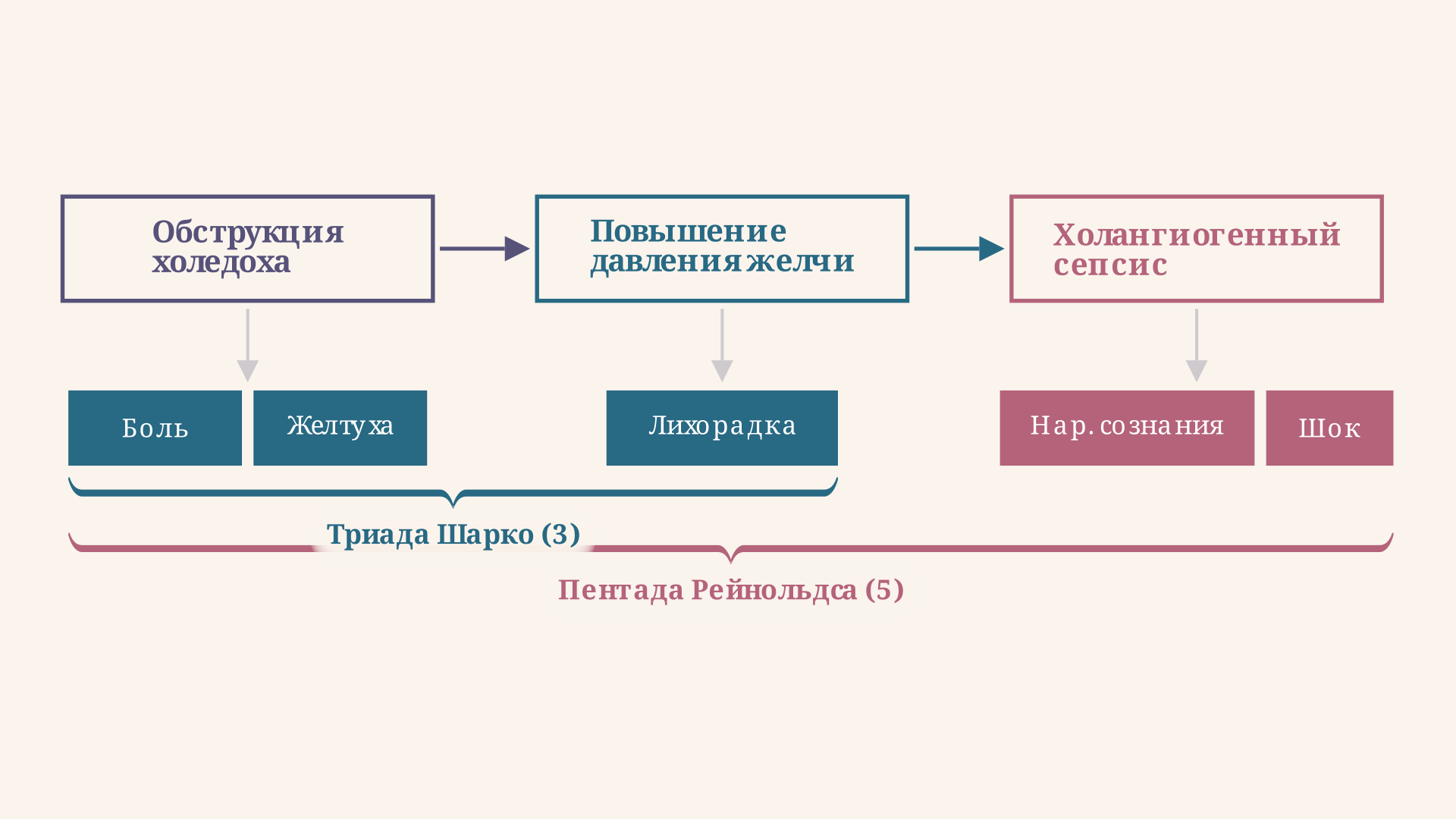 Пентада Рейнольдса: пять признаков и связь с патогенезом обструктивного холангита