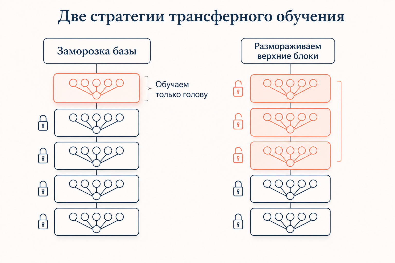 Сравнение двух стратегий переноса: заморозка базы и обучение только головы против размораживания верхних блоков