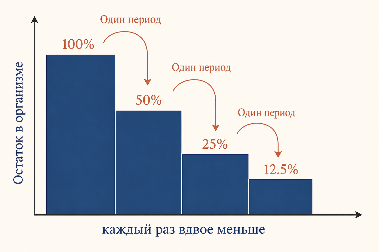 Концентрация препарата в плазме растёт после приёма, достигает пика и спадает по экспоненте: горизонтальная линия отмечает половину дозы, а отрезок на оси времени равен периоду полувыведения