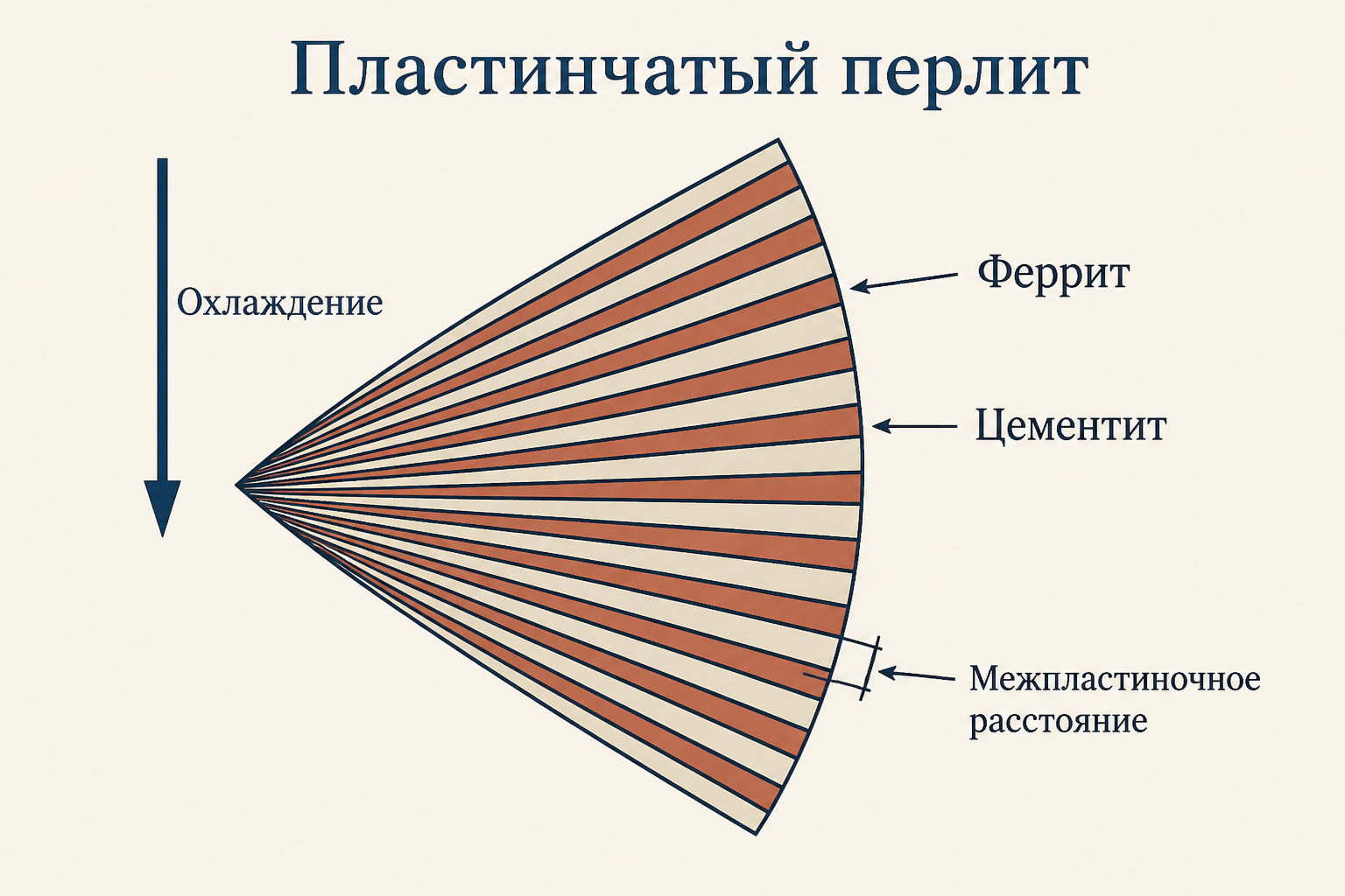 Колония пластинчатого перлита: чередующиеся пластины феррита и цементита расходятся веером от центра зарождения, бракет показывает межпластиночное расстояние, стрелка - направление охлаждения