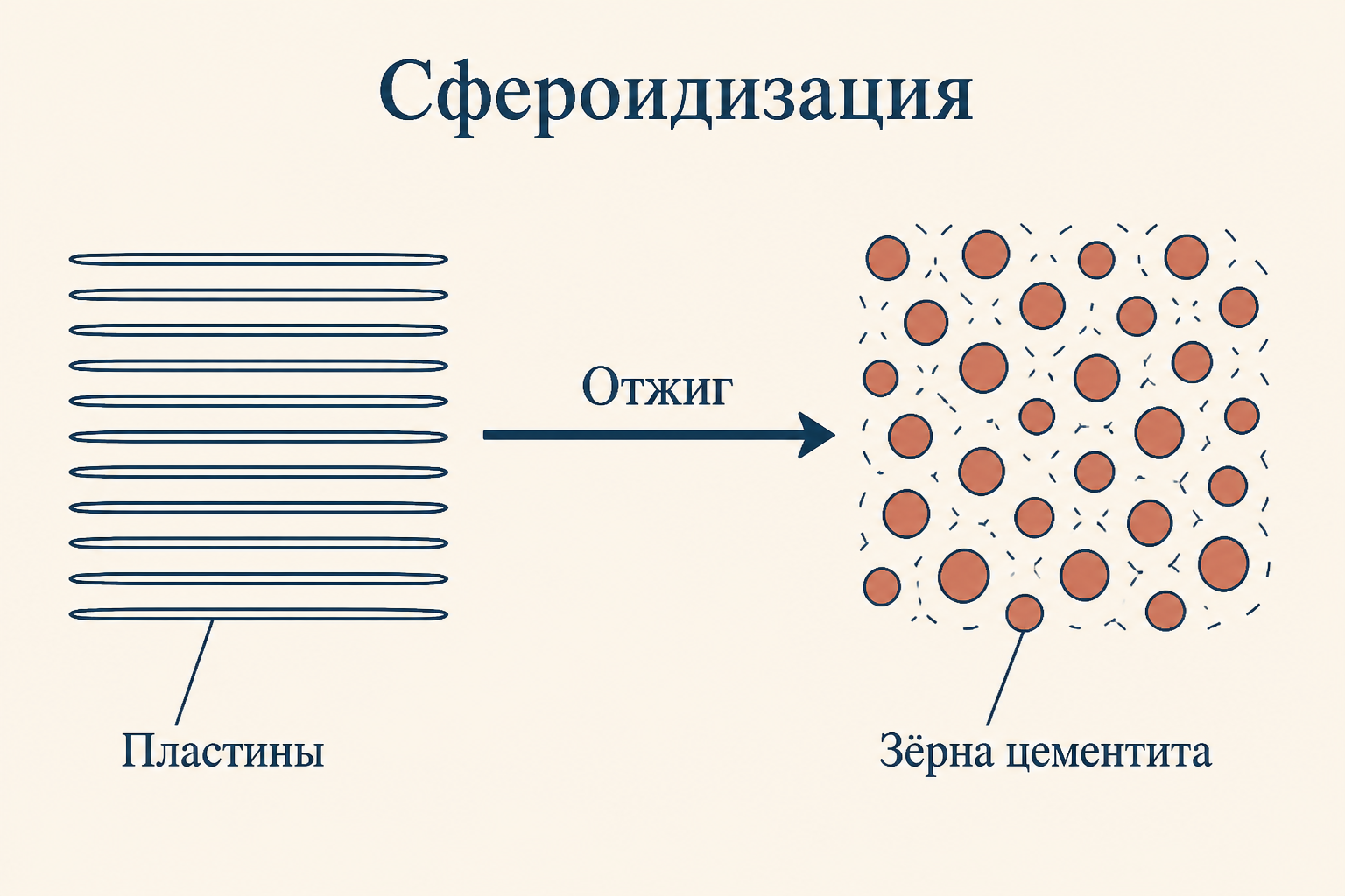 Сфероидизация: при отжиге чередующиеся цементитные пластины дробятся и собираются в округлые зёрна цементита в ферритной матрице