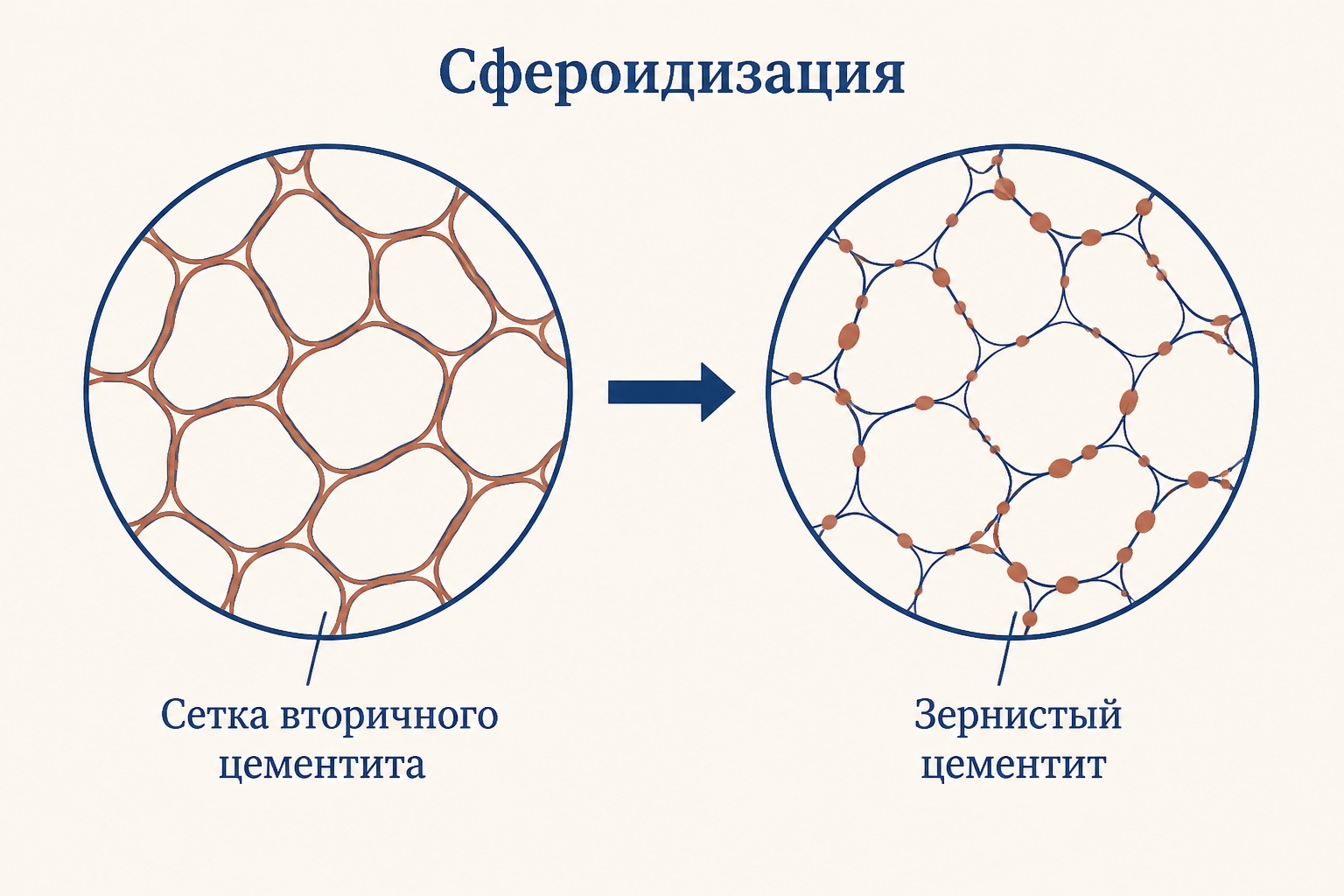 Сравнение микроструктуры: слева непрерывная сетка вторичного цементита по границам зёрен, справа зернистый цементит после сфероидизирующего отжига