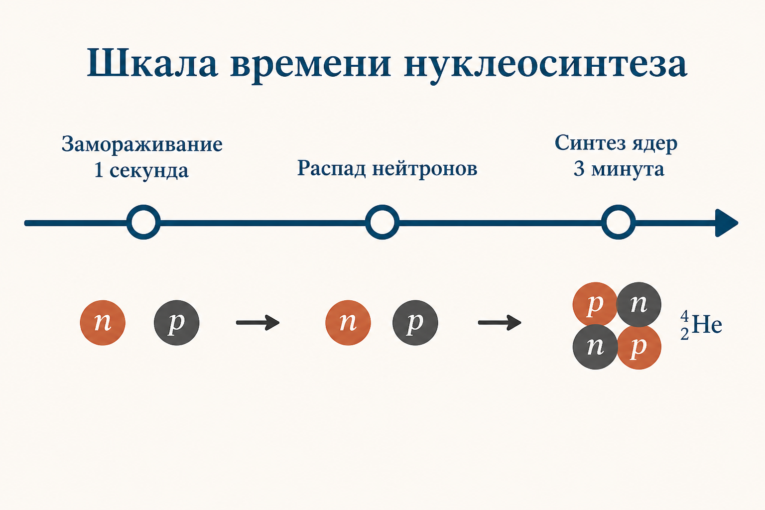 Шкала времени первичного нуклеосинтеза от замораживания на 1 секунде до синтеза ядер на третьей минуте