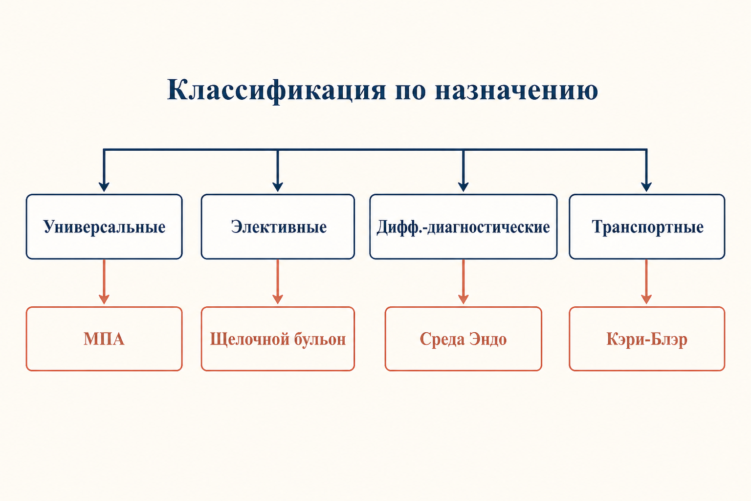 Классификация питательных сред по назначению