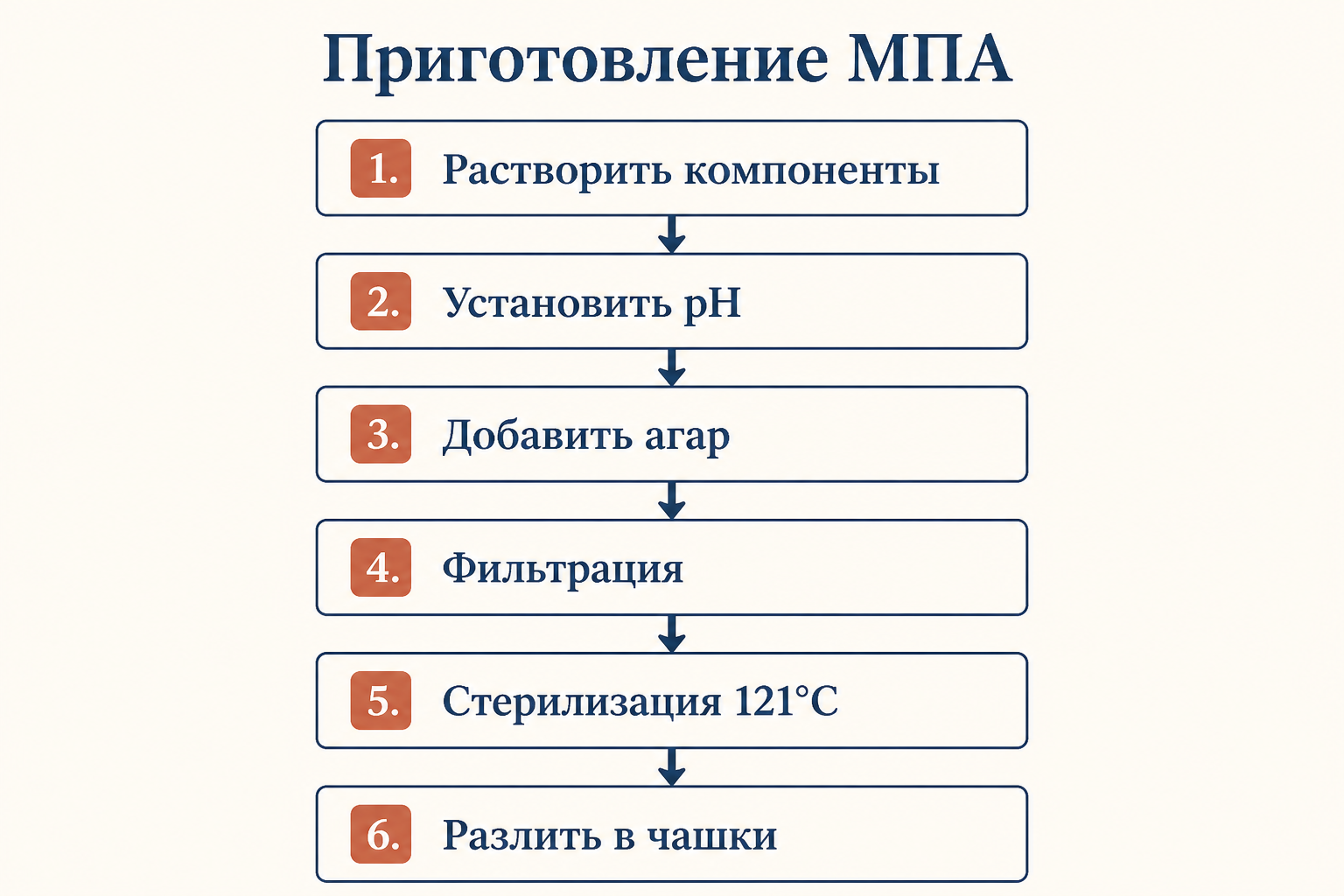 Этапы приготовления питательной среды МПА