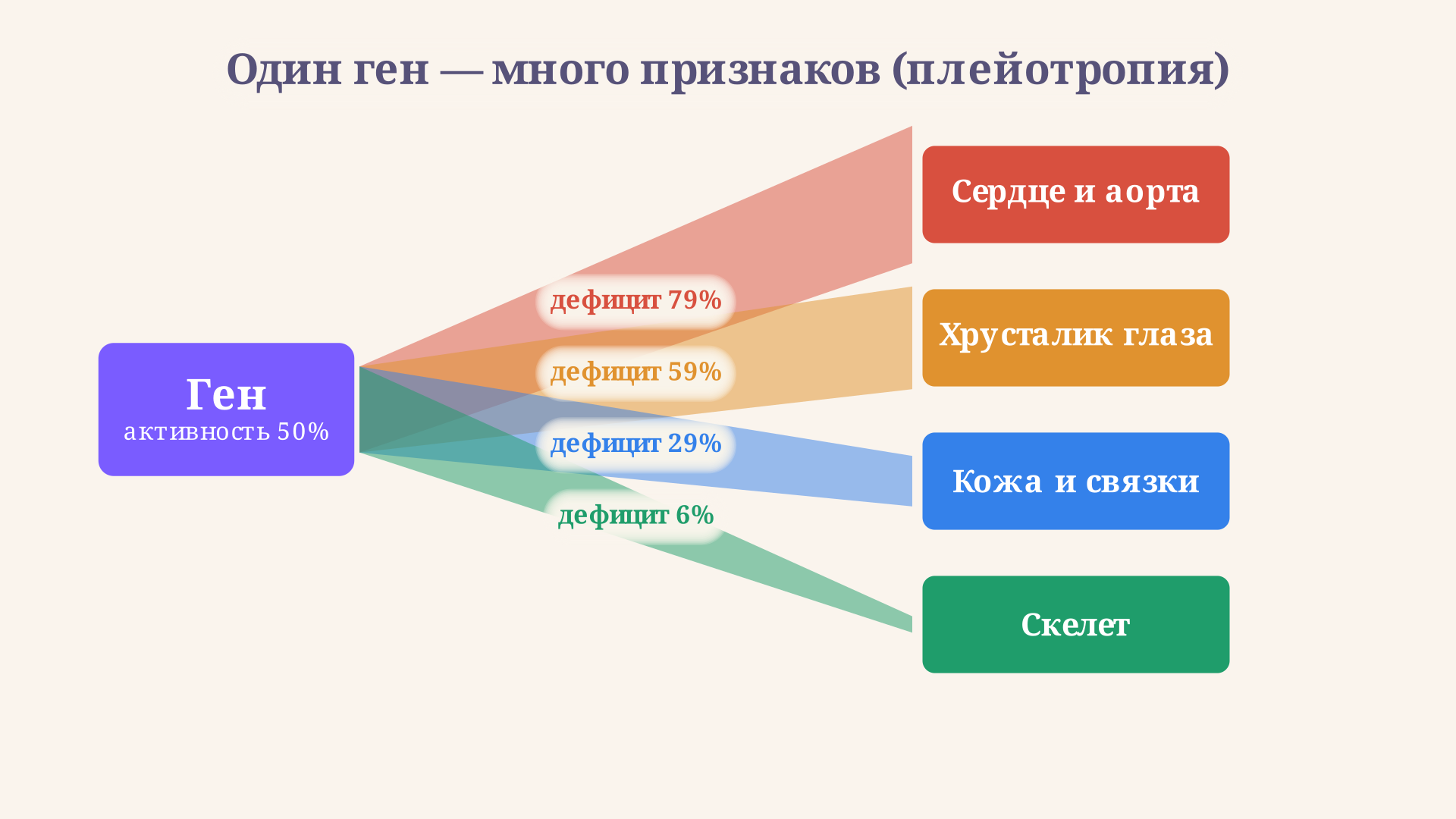 Развилка плейотропии: от одного гена связи расходятся к четырём признакам, толщина каждой связи равна дефициту признака при текущей активности гена