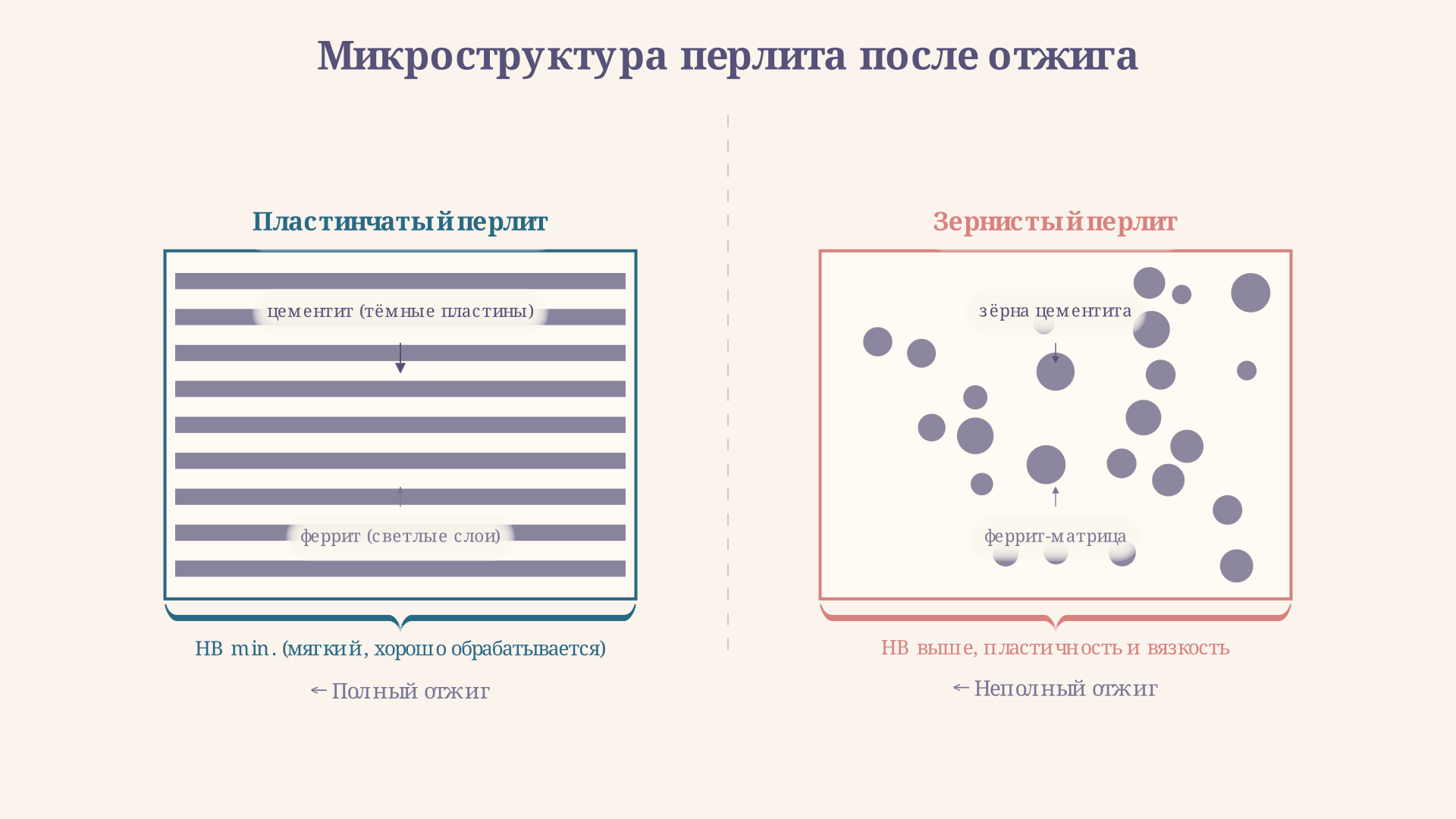 Микроструктура стали после полного отжига: феррит (светлые зёрна) и перлит (тёмные участки) с равновесным пластинчатым строением