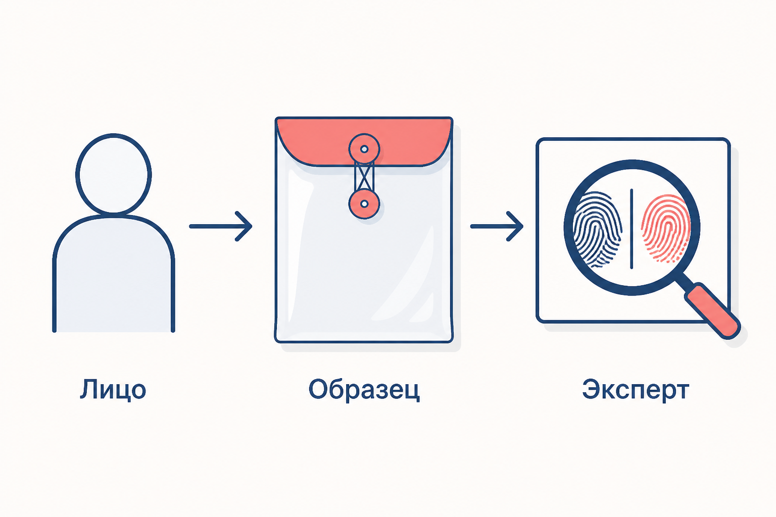 Образец связывает человека, протокол и экспертное сравнение