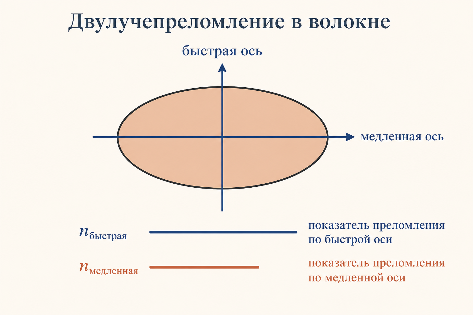 Сечение сердцевины волокна вытянуто в эллипс, через него проходят быстрая и медленная оси с разными показателями преломления