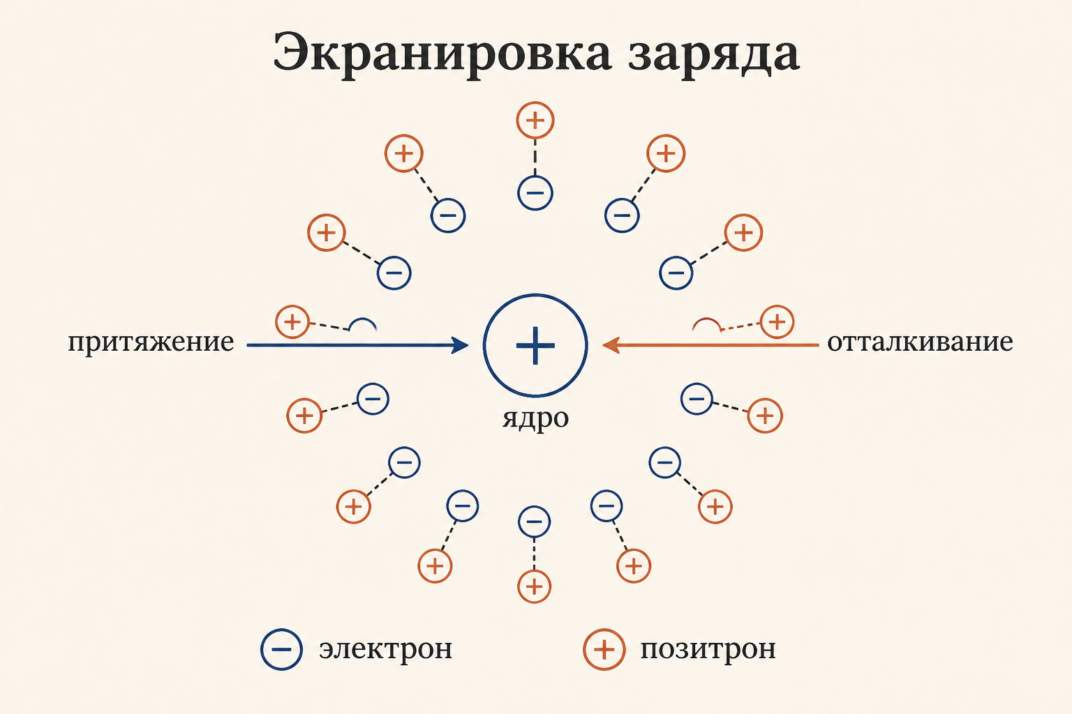 Схема экранировки точечного заряда облаком виртуальных электрон-позитронных пар вокруг ядра