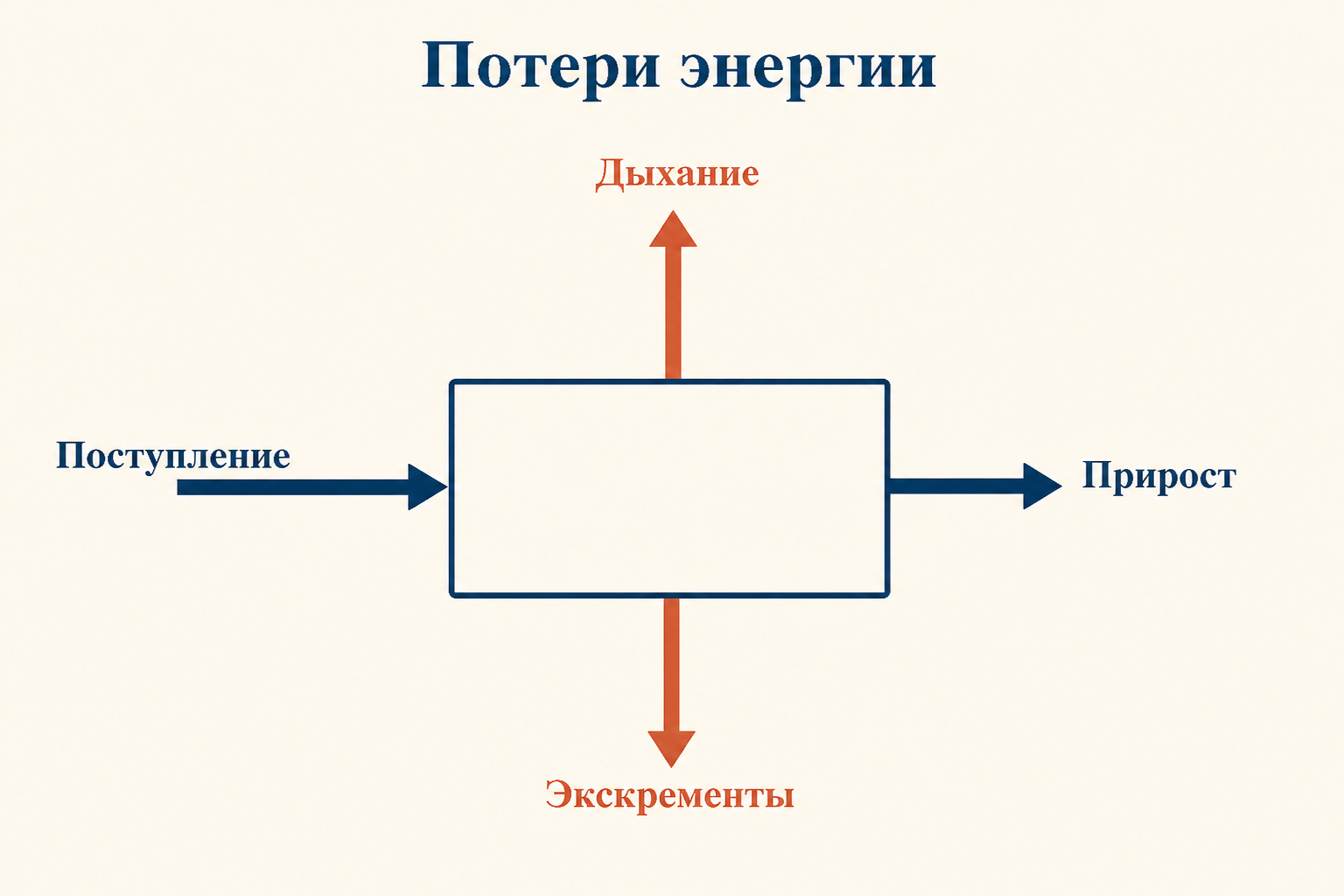 Схема потоков энергии на одном трофическом уровне: поступление, дыхание в тепло, экскременты, прирост биомассы с подписями
