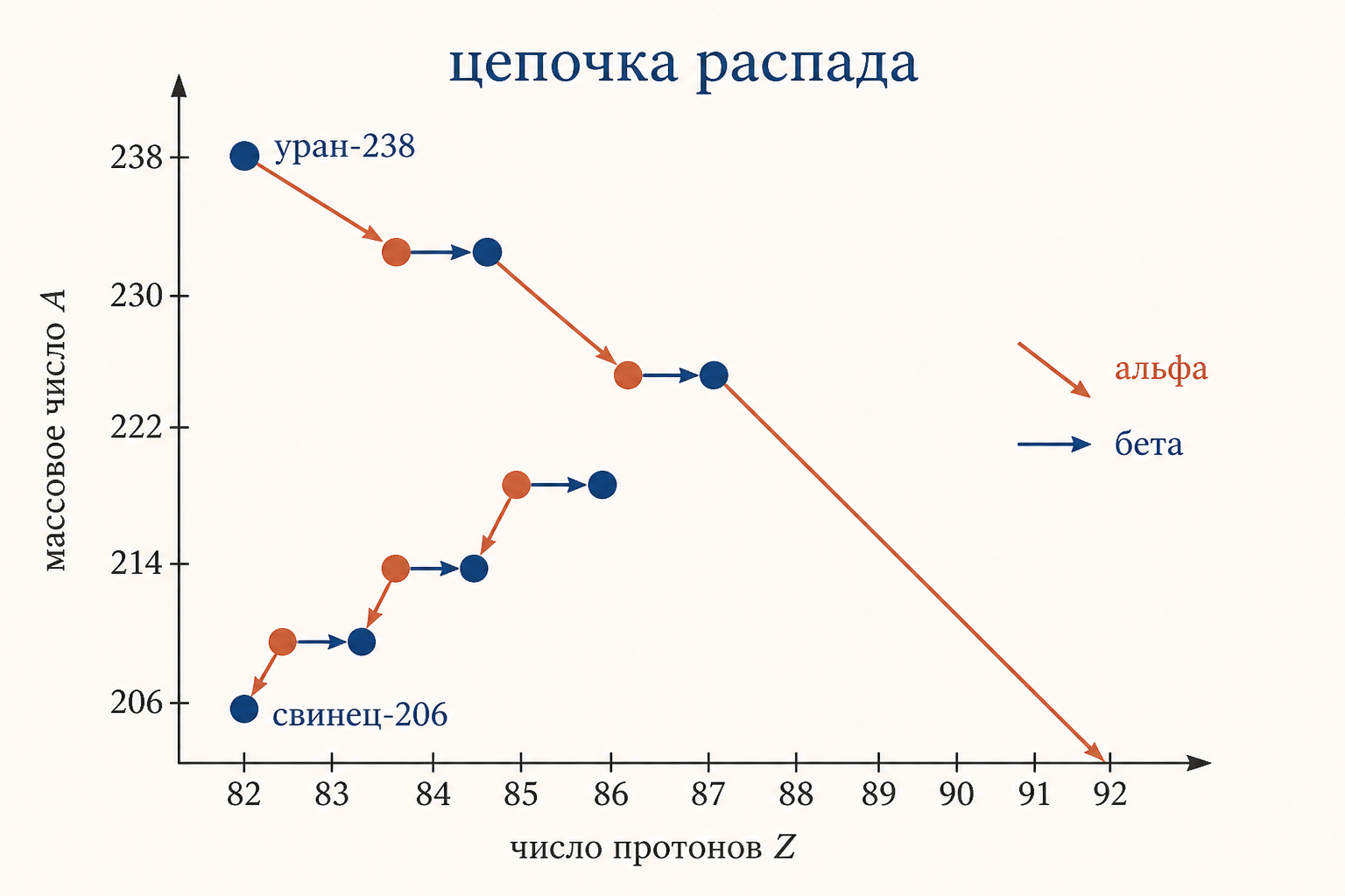Цепочка распада урана-238: чередование альфа- и бета-распадов постепенно смещает элемент к стабильному свинцу-206