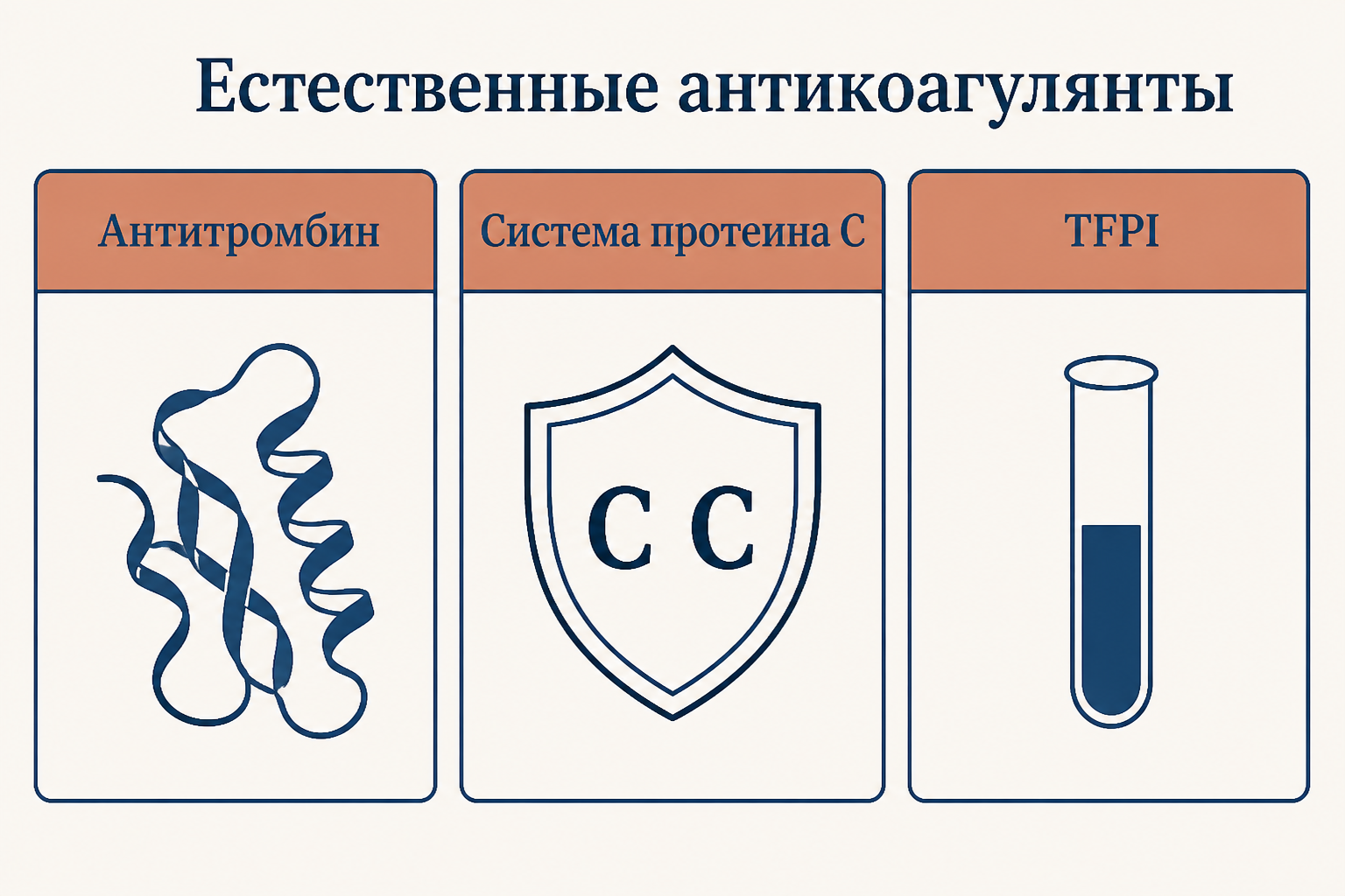 Три естественных антикоагулянта: антитромбин, система протеина C и TFPI с их основными мишенями