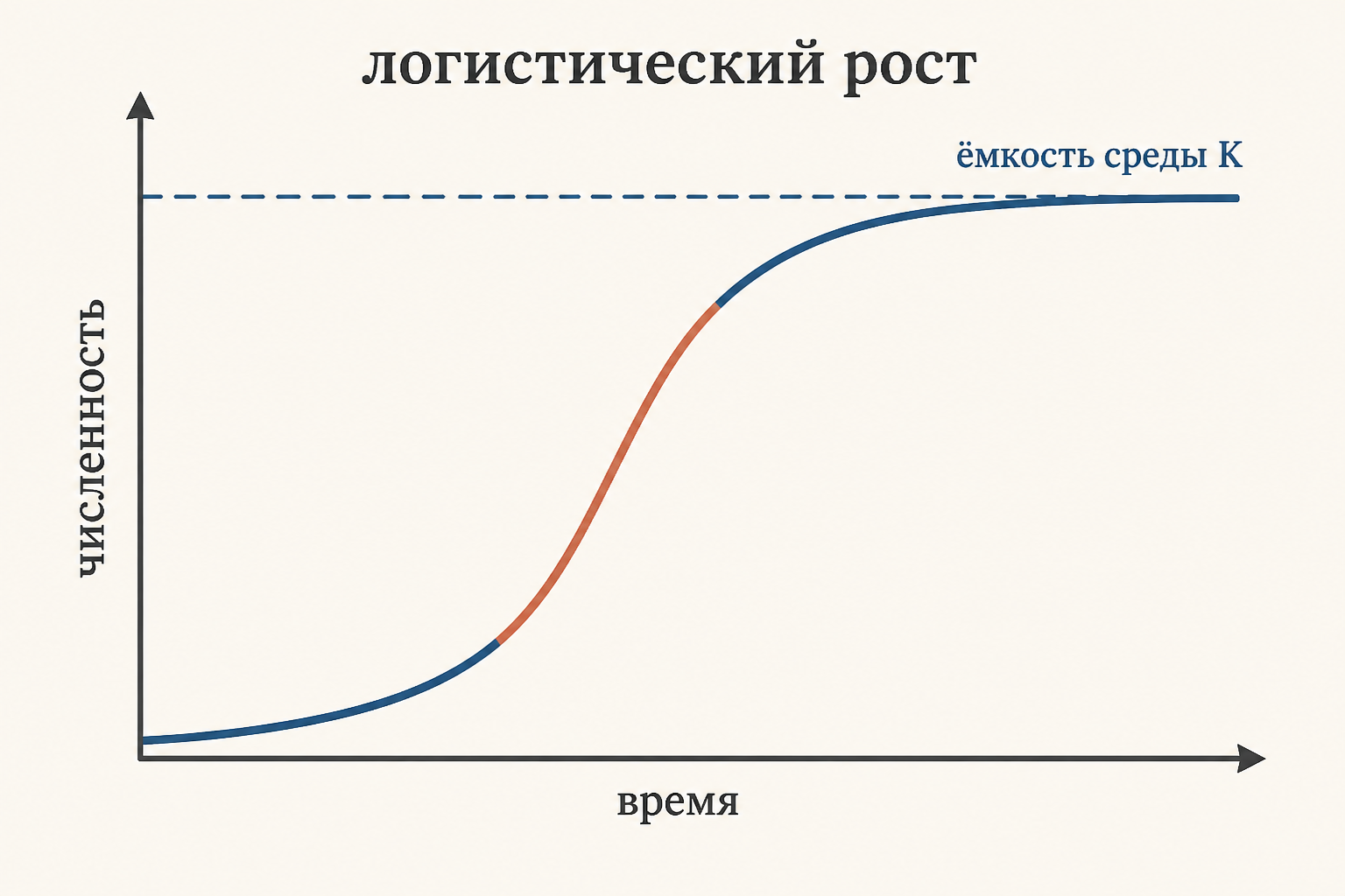 Логистическая кривая роста: численность выходит на плато у ёмкости среды K, крутой средний участок отвечает за быстрый рост r-стратегов