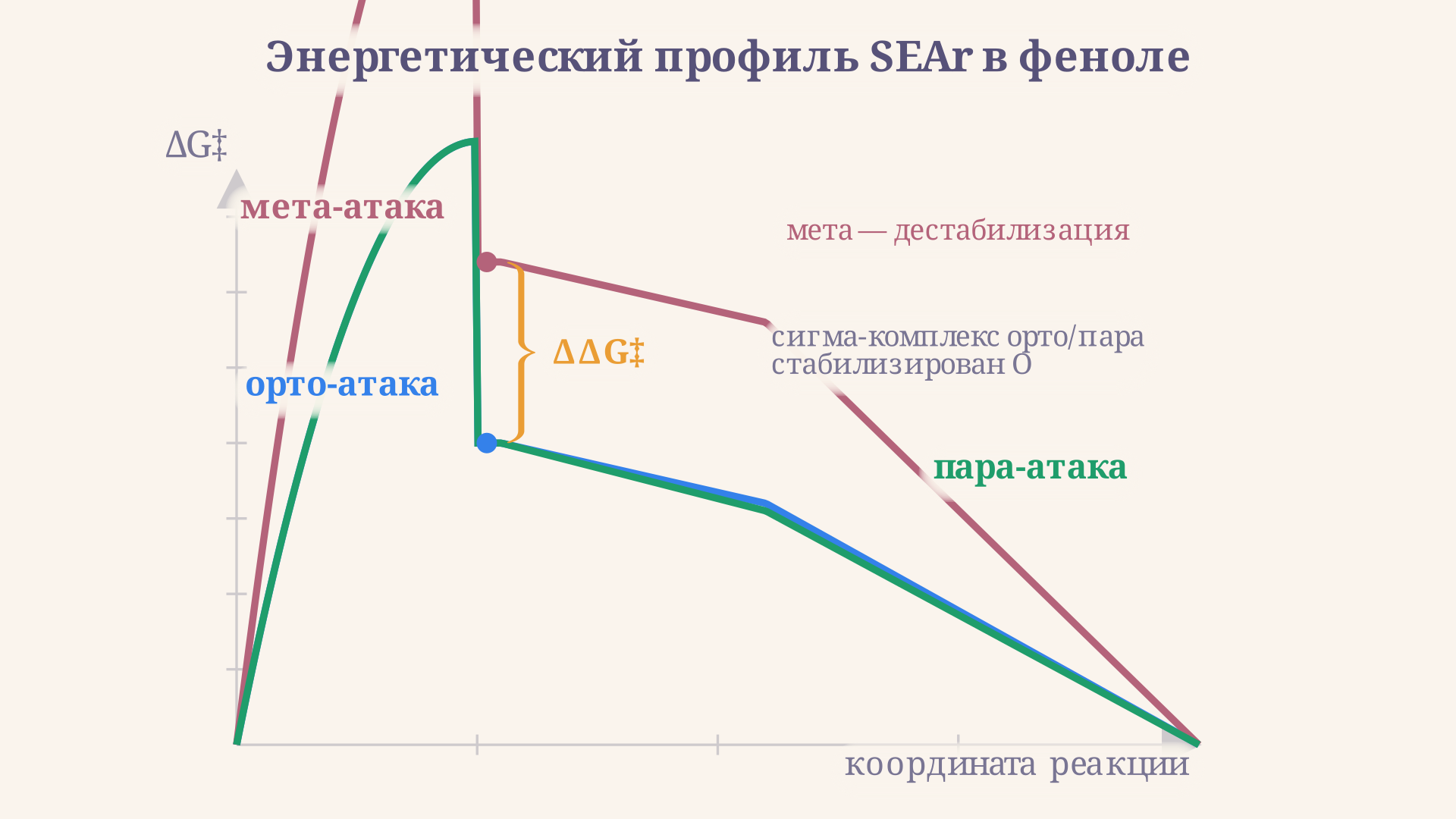 Энергетический профиль SEAr в феноле: орто/пара-атака - более низкий барьер из-за стабилизации сигма-комплекса кислородом