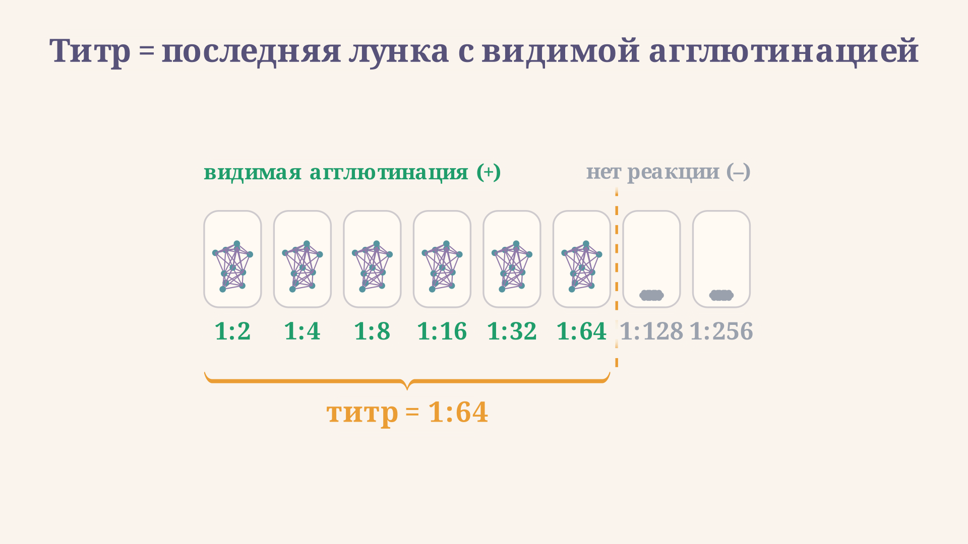 Ряд из восьми лунок: в первых сильная агглютинация в виде сетчатого осадка, к последним частицы оседают ровной пуговицей, золотая линия отмечает порог видимости