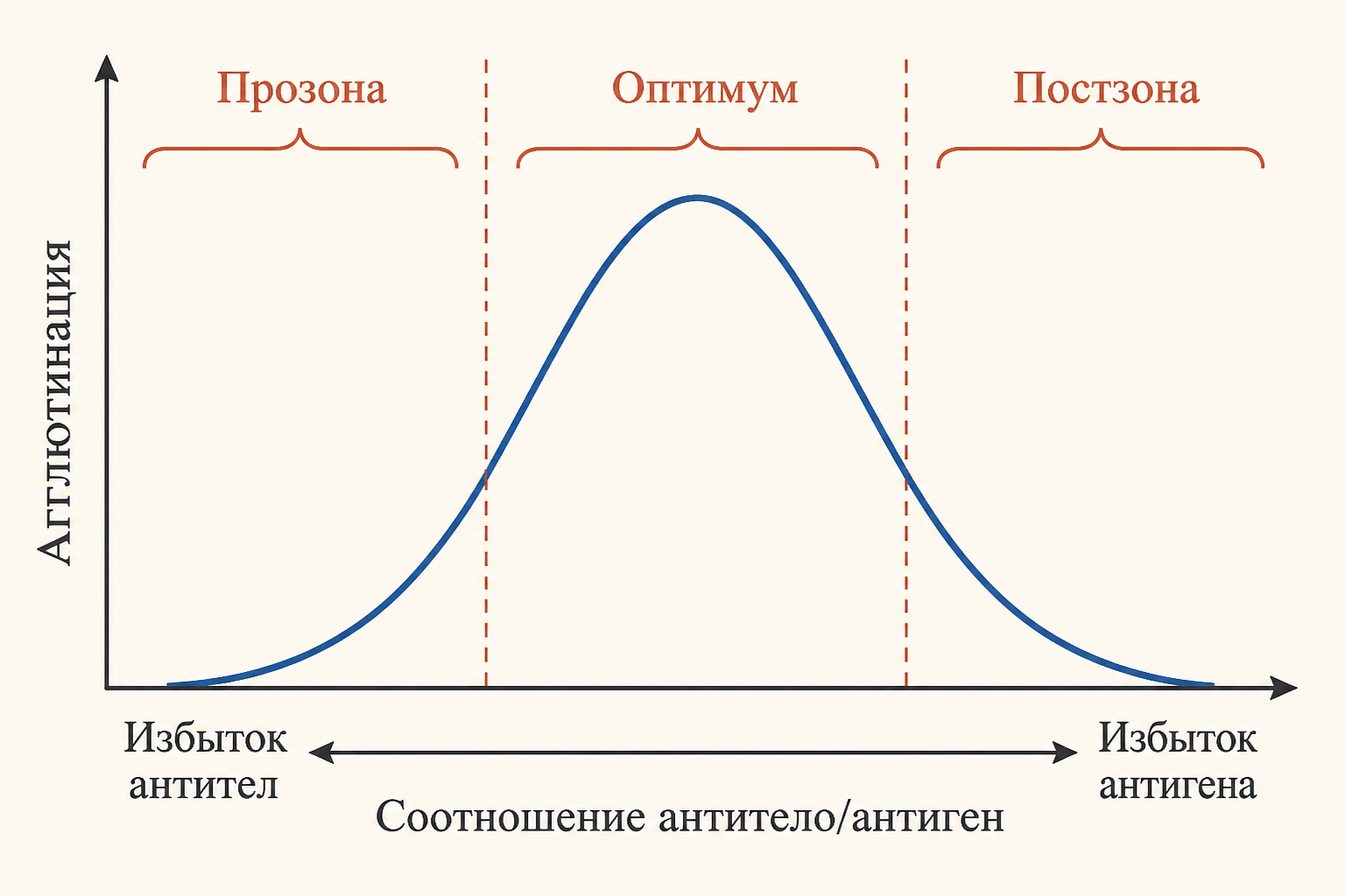 Диаграмма зон оптимума, прозоны и постзоны при агглютинации