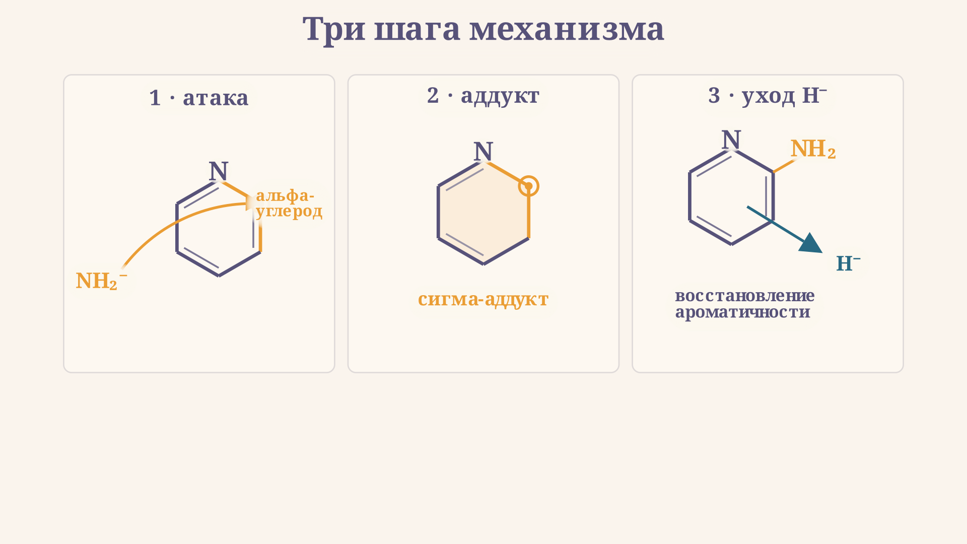 Механизм реакции Чичибабина: атака NH2- в альфа-положение, сигма-аддукт и уход гидрида с восстановлением ароматичности