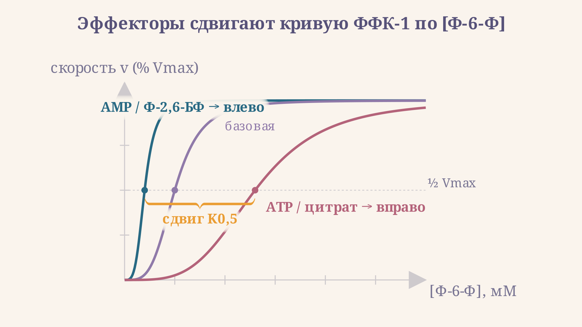 Сдвиг сигмоидной кривой насыщения фосфофруктокиназы под действием эффекторов: активатор смещает кривую влево и снижает K0.5, ингибитор смещает вправо и повышает K0.5