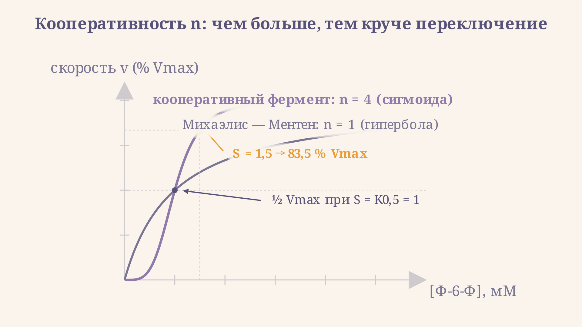Сравнение сигмоидной кривой кооперативного фермента (коэффициент Хилла больше единицы) с гиперболической кривой Михаэлиса-Ментен при n равном единице