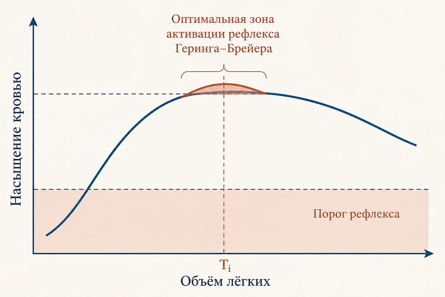 Взаимосвязь времени вдоха, объёма лёгких и насыщения крови кислородом