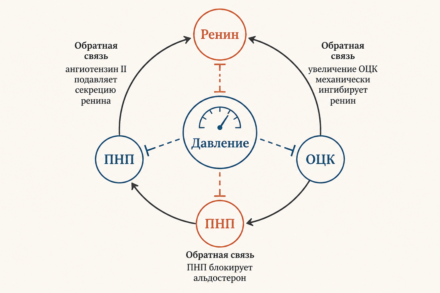 Петли отрицательной обратной связи РААС