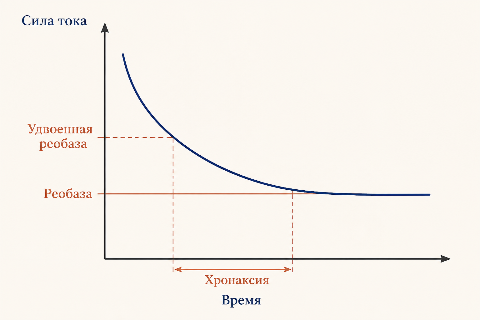 Кривая сила-длительность: реобаза как нижняя асимптота, хронаксия измеряется на уровне удвоенной реобазы