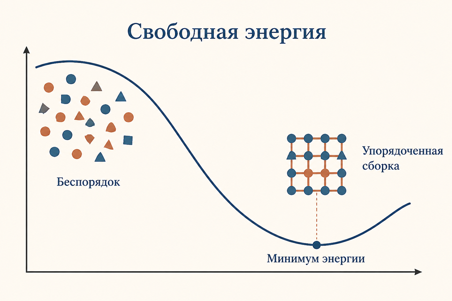 Энергетический ландшафт самосборки: переход от беспорядка к упорядоченной структуре в минимуме свободной энергии