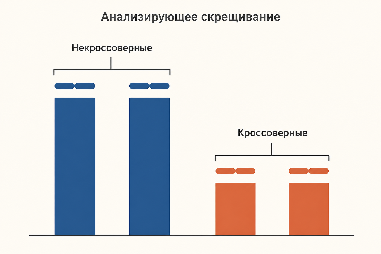 Четыре класса потомков анализирующего скрещивания: два многочисленных некроссоверных и два редких кроссоверных