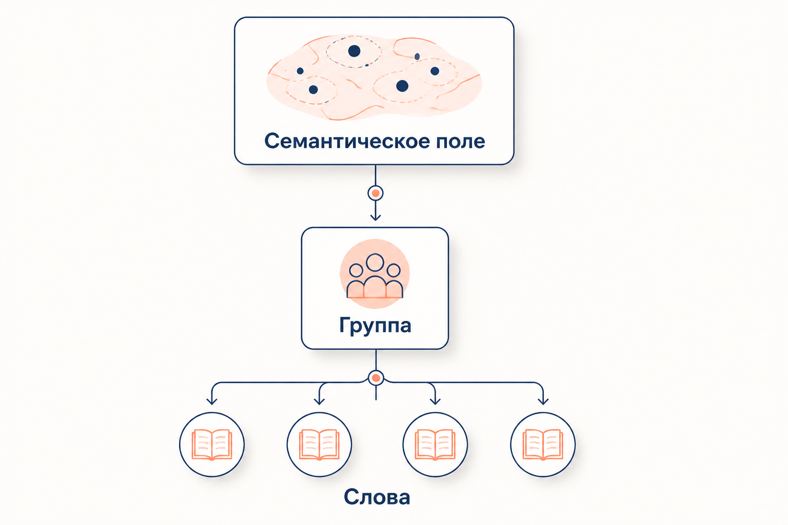 Иерархия лексики от широкого семантического поля к более узкой группе и далее к отдельным словам