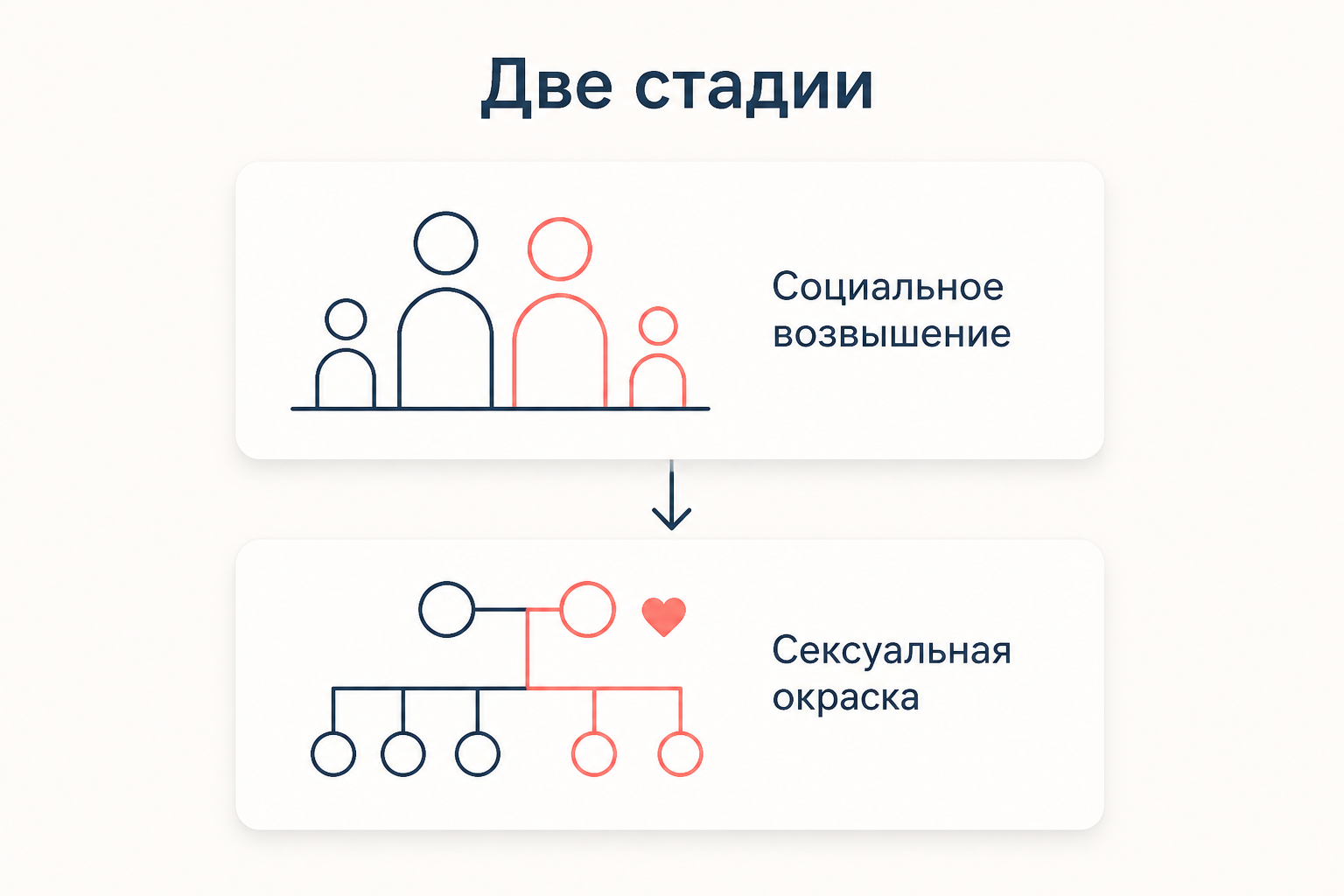 Две стадии: социальное возвышение родителей и перестройка происхождения