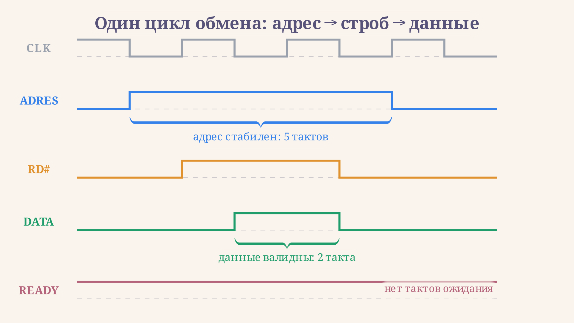 Временная диаграмма цикла обмена на шине управления: адрес стабилен на всём окне доступа, строб RD#/WR# активен в середине цикла, данные валидны внутри окна строба, READY подтверждает отсутствие тактов ожидания