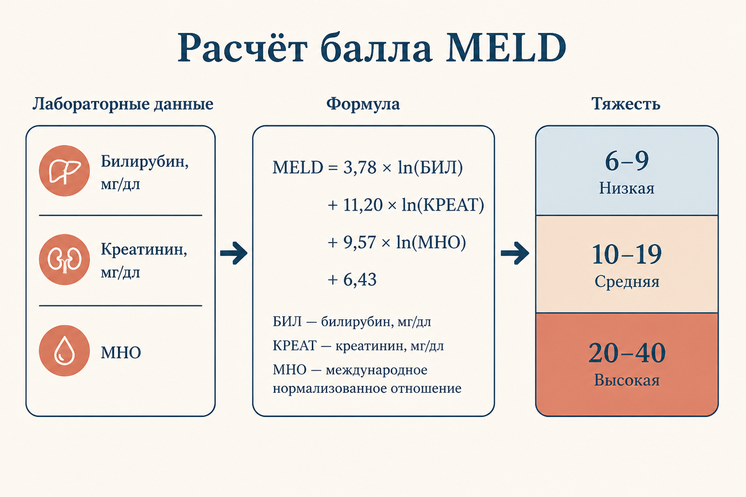Расчёт балла MELD: три лабораторных значения подставляют в логарифмическую формулу и получают число тяжести в трёх зонах риска