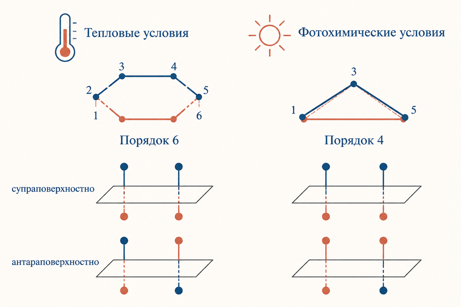 Сравнение переходных состояний: тепловой шестичленный кресловидный цикл против фотохимического четырёхчленного, супраповерхностная и антараповерхностная подача связи к плоскости системы.