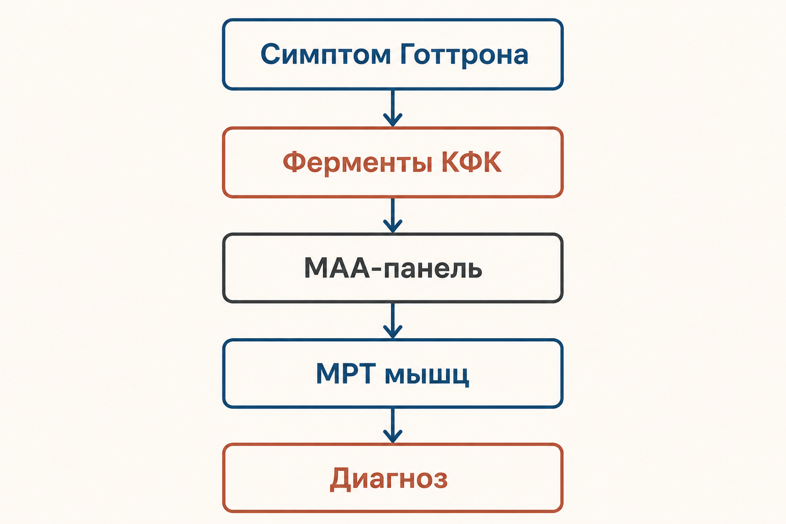 Алгоритм диагностики дерматомиозита