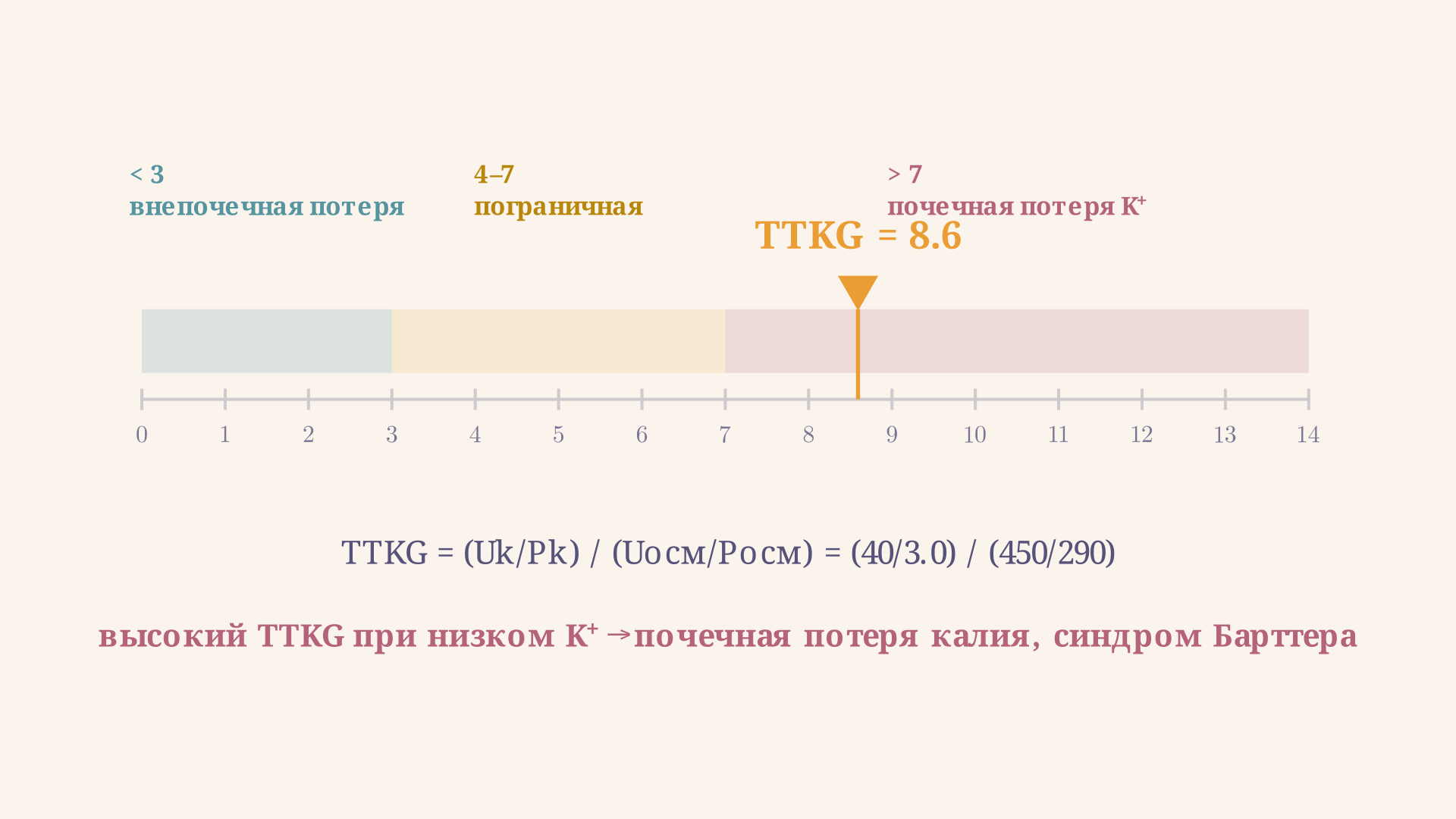 Шкала TTKG: при внепочечной потере калия градиент падает ниже 3, при почечной потере (синдром Барттера) остаётся высоким несмотря на гипокалиемию