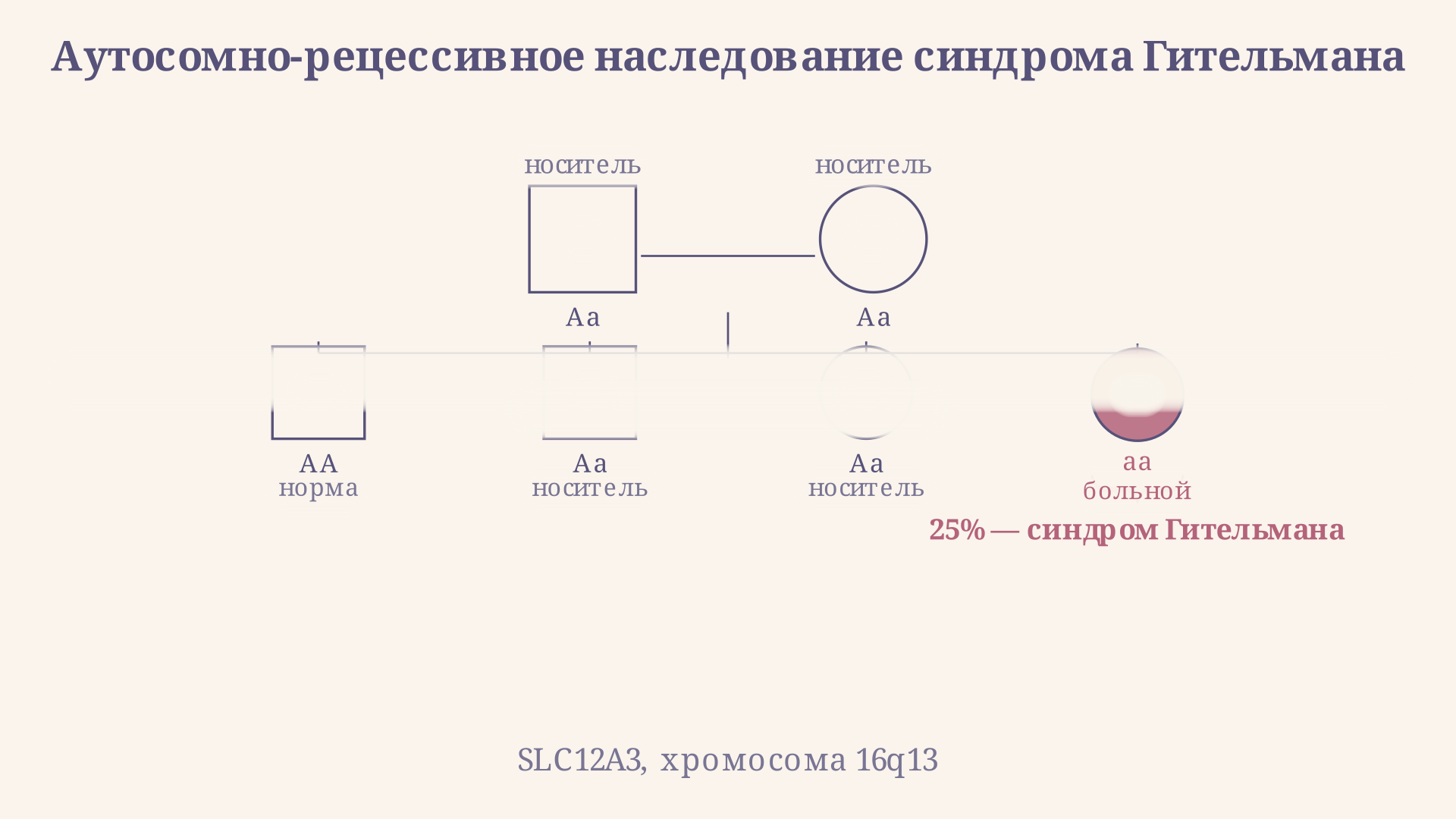 Паттерн наследования синдрома Гительмана: аутосомно-рецессивный тип - оба родителя носители, вероятность больного ребёнка 25%