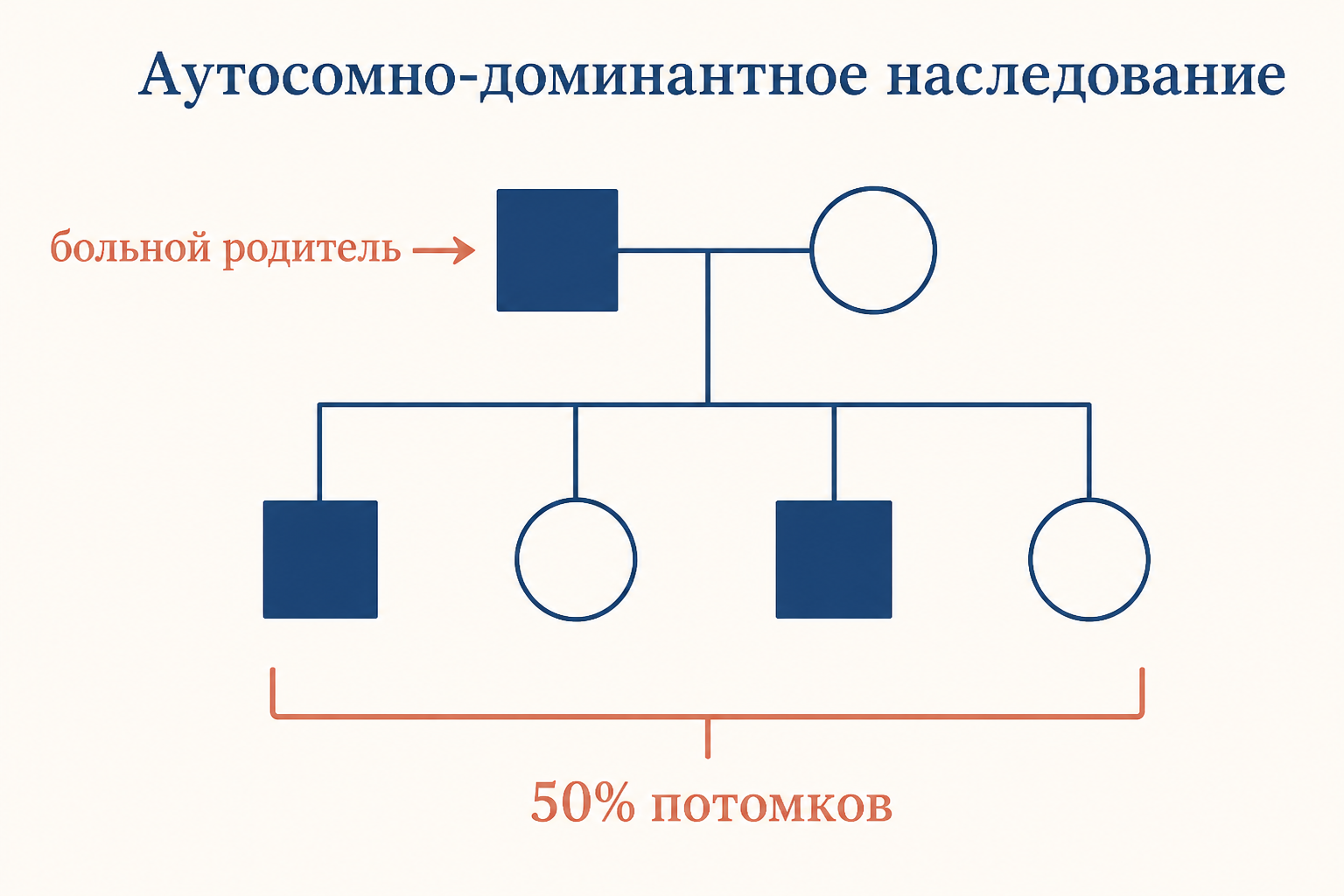 Родословная аутосомно-доминантного наследования: больной родитель и 50 процентов поражённых потомков